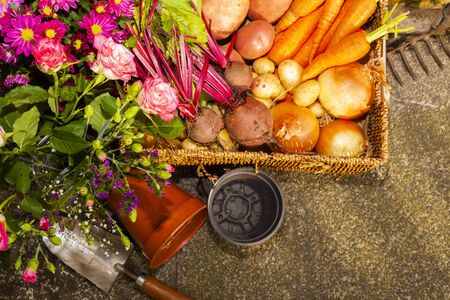 Bourse aux plantes